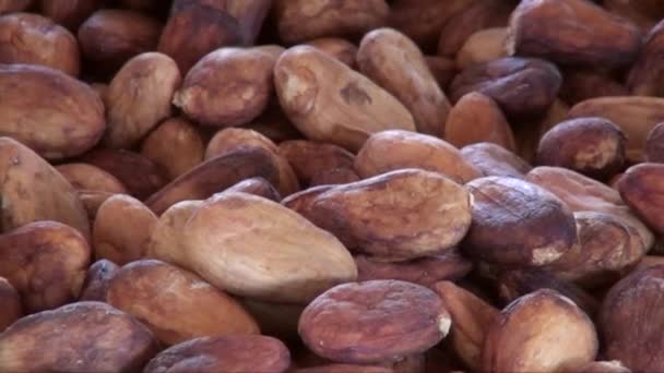 Making Artisanal Chocolate Market Street Tapachula Mexico State Chiapasis 10Th — Stock Video