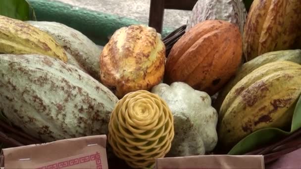 Making Artisanal Chocolate Market Street Tapachula Mexico State Chiapasis 10Th — ストック動画