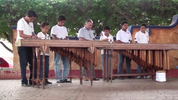Mexican Artistic Show Tapachula Mexico State Chiapasis 10Th September 2013 — Video Stock