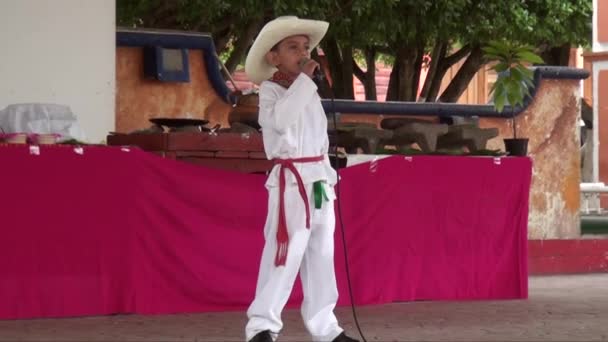 Мексиканское Художественное Шоу Тапачуле Мексика Штат Чьяпасис Сентября 2013 — стоковое видео