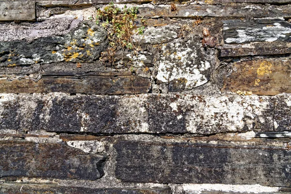 Background Dry Stone Wall Built Cornwall United Kingdom Beautiful Scenic — ストック写真