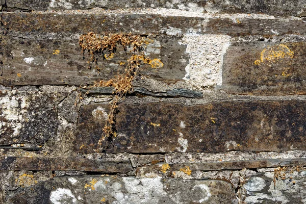Background Dry Stone Wall Built Cornwall United Kingdom Beautiful Scenic — Foto de Stock