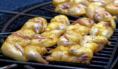 İspanya 'daki Lanzarote, Kanarya Adaları' ndaki Timanfaya Ulusal Parkı 'nda barbekü yapan tavuk. Kayaların sıcaklığından ızgara tavuk.