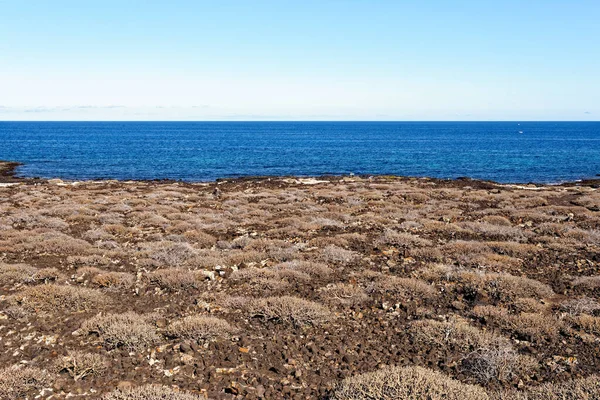 Impresionante Paisaje Vertice Geodesico Jameos Del Agua Haria Lanzarote España — Foto de Stock