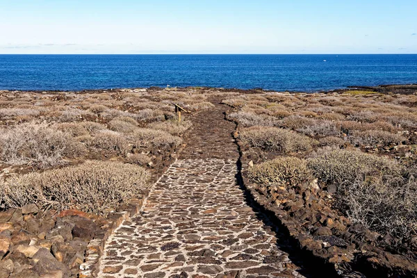 Дивовижний Краєвид Vertice Geodesico Jameos Del Agua Haria Lanzarote Spain — стокове фото