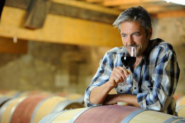 kırmızı şarap, şarap tadımı winemaker