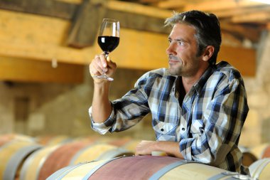 kırmızı şarap, şarap tadımı winemaker