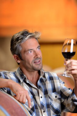 kırmızı şarap cam bakarak winemaker