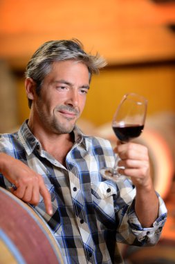 kırmızı şarap cam bakarak winemaker