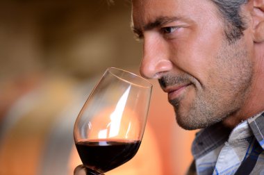 Closeup on winemaker smelling red wine in glass clipart