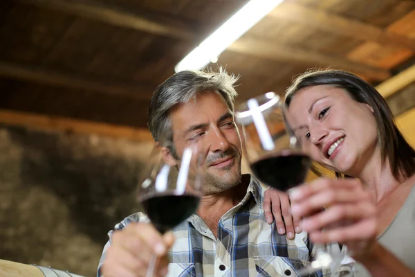 Pareja de enólogos degustando vino tinto — Foto de Stock