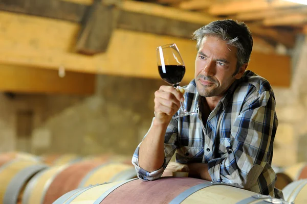 Winemaker tasting red wine in winery — Stock Photo, Image