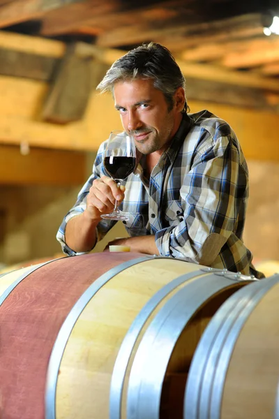 Wijnmaker proeverij van rode wijn op wijngoed — Stockfoto