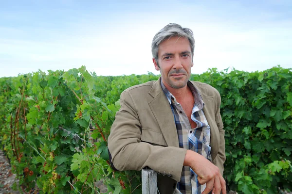 Vigneron debout dans le vignoble pendant la saison de récolte — Photo