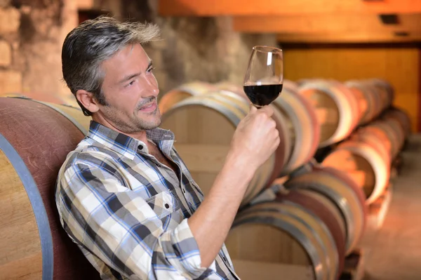 Winemaker checking red wine quality in wine cellar — Stock Photo, Image