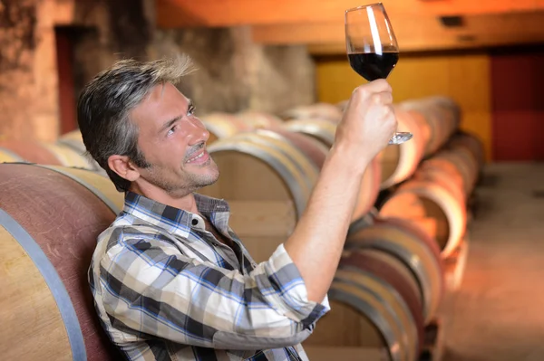 Winemaker checking red wine quality in wine cellar — Stock Photo, Image