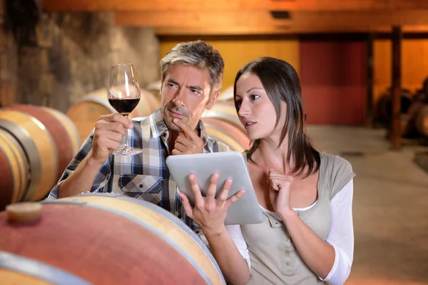 Enólogos em adega usando tablet eletrônico para controlar a qualidade do vinho — Fotografia de Stock