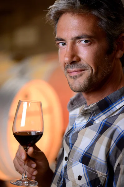 Closeup on winemaker smelling red wine in glass — Stock Photo, Image