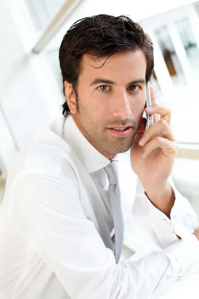 Retrato de homem de negócios falando no celular — Fotografia de Stock