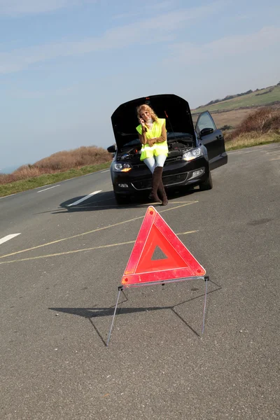 Uyarı üçgeni yolda bozuldu araba ile ayarla