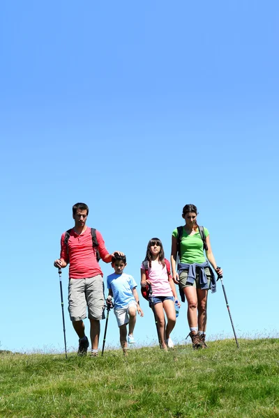 Família de quatro caminhadas na montanha por dia ensolarado — Fotografia de Stock