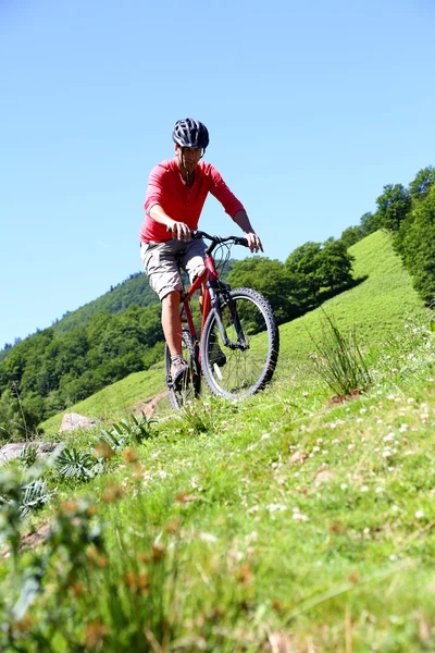 Homme à vélo de montagne en été — Photo