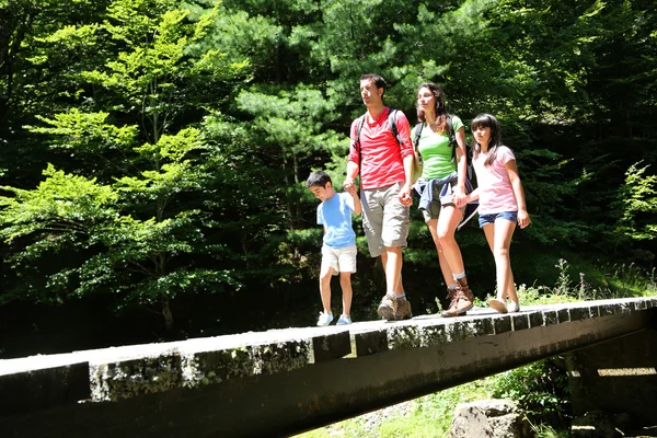 Familie spaziert auf einer Brücke im Bergwald — Stockfoto