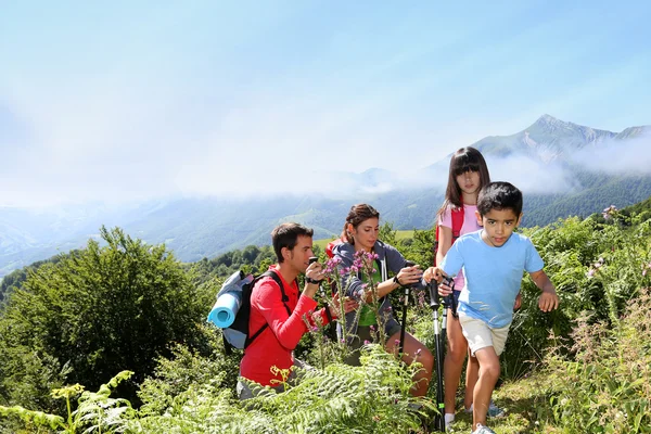 Famiglia in una giornata di escursionismo salendo la collina — Foto Stock