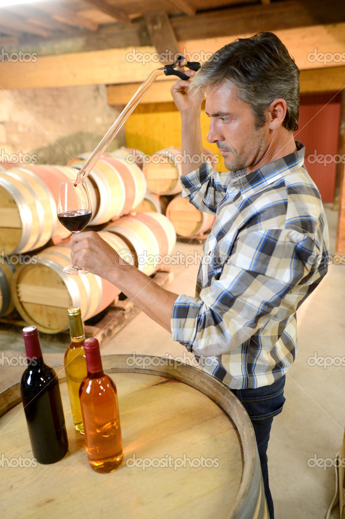 Winemaker getting sample of red wine from barrel — Stock Photo