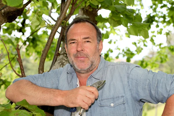 Hombre mayor de pie en el jardín con herramienta de horticultura — Foto de Stock