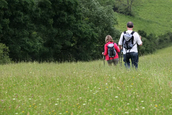 Powrót widok starszy kilka piesze wycieczki w okolicy — Zdjęcie stockowe