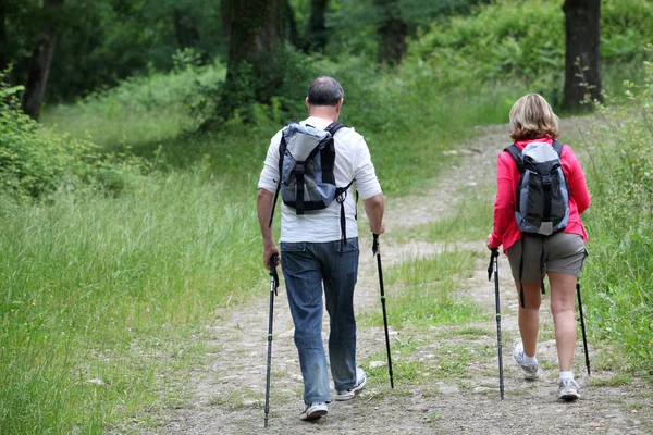Blick zurück: Seniorenpaar wandert auf Waldweg — Stockfoto