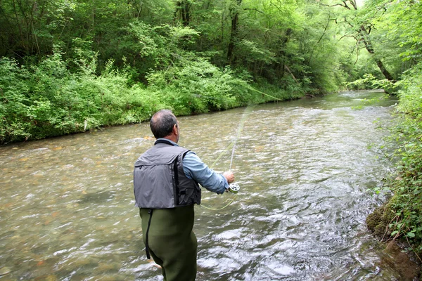 Pohled zezadu na rybáře v river muškaření — Stock fotografie