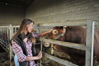 Ahırda çalışan kadın portresi