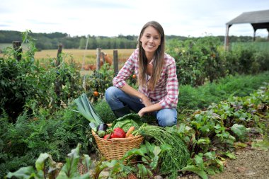 Woman knelt in vegetable garden clipart