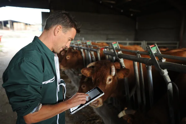 Rolnik w stodole przy użyciu cyfrowego tabletu — Zdjęcie stockowe