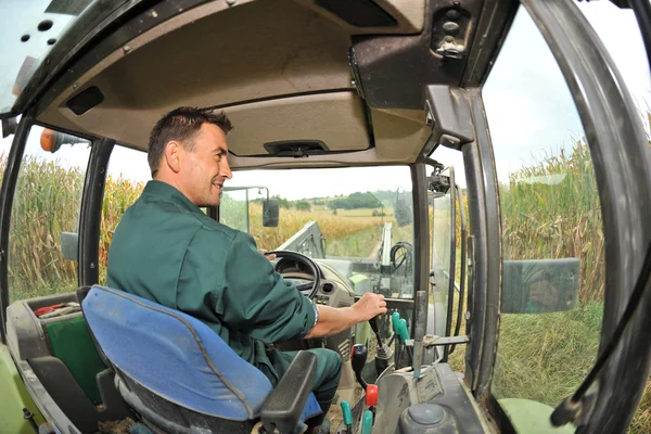 Agricultor trator de condução no campo de milho — Fotografia de Stock