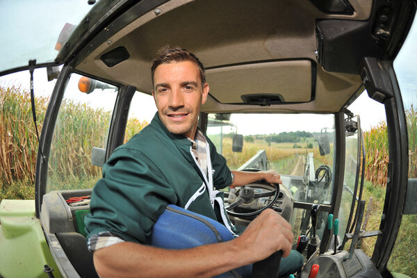 Farmer driving tractor in corn field