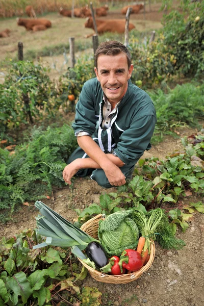 Portrét smějící se farmář v zeleninové zahradě — Stock fotografie