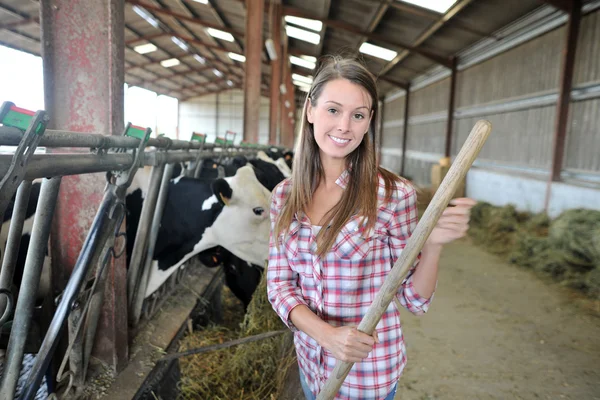 Mujer reproductora sonriente dando comida a las vacas —  Fotos de Stock