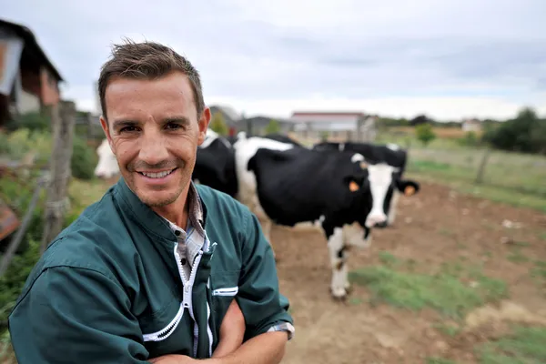 Criador de vacas sorridente em pé na frente do rebanho de vacas — Fotografia de Stock