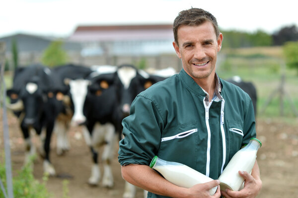 Farmer standing in front of cow herd with bottles of milk