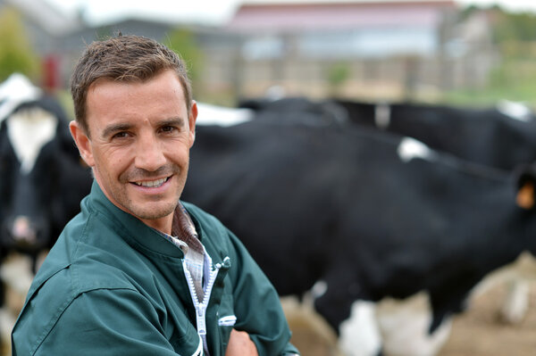 Herdsman standing in front of cattle in farm