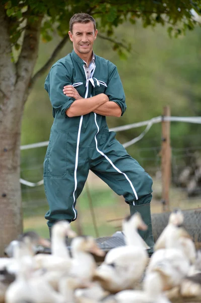 Criador de pato parado fuera de la granja — Foto de Stock