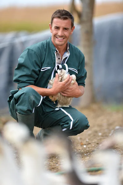 Agricultor alegre segurando pato em seus braços — Fotografia de Stock