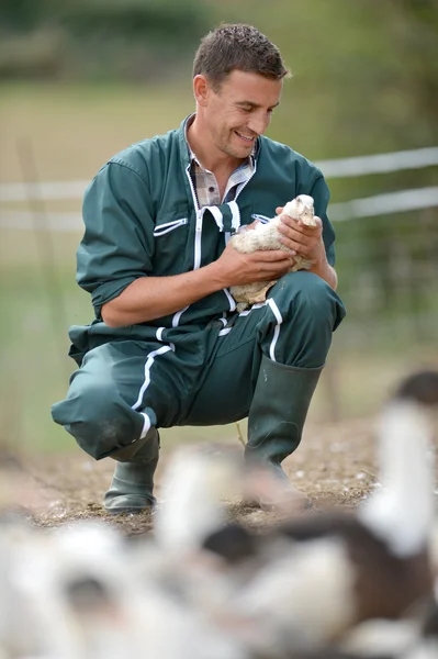 Fermier joyeux tenant canard dans ses bras — Photo
