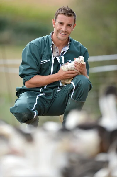 Ördek kollarında holding neşeli çiftçi — Stok fotoğraf