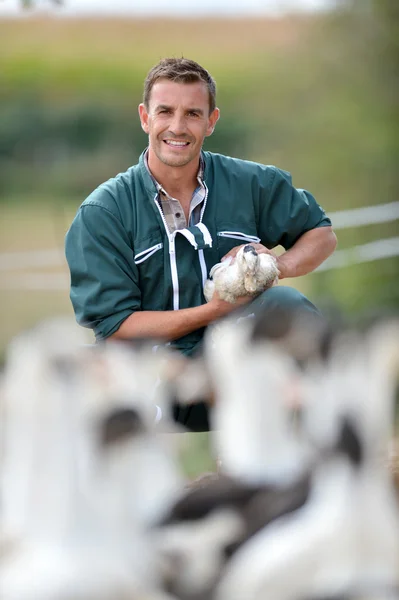 Agricultor alegre segurando pato em seus braços — Fotografia de Stock