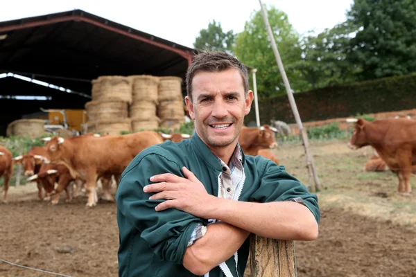 Pastor em pé na frente de gado na fazenda — Fotografia de Stock