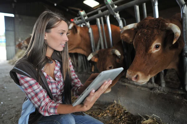 Woman in barn using electronic tablet Royalty Free Stock Photos